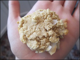 Gracie's Coconut Macadamia Cookies