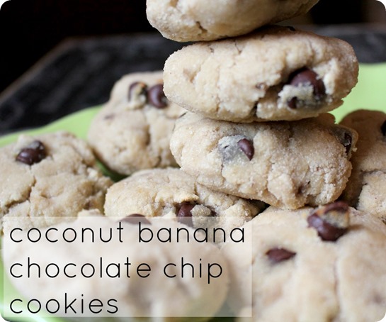 Coconut Banana Chocolate Chip Cookies