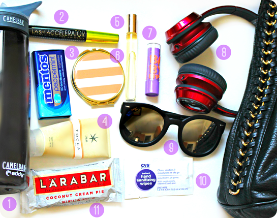 GML's Handbag Essentials