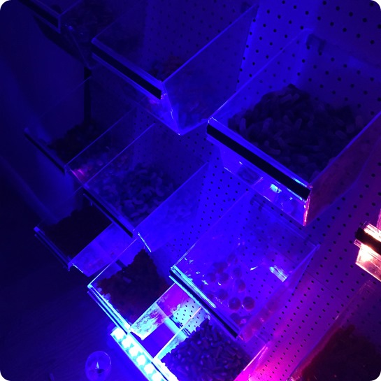 Boohoo.com pop up store in Soho NYC 