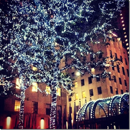 e9d8481832b211e29ed51231381b5461_7