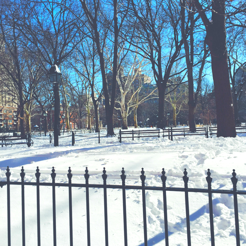 NYC winter