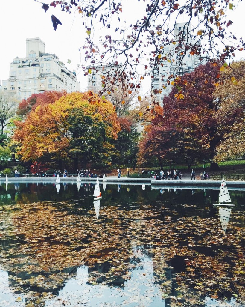 central park NYC